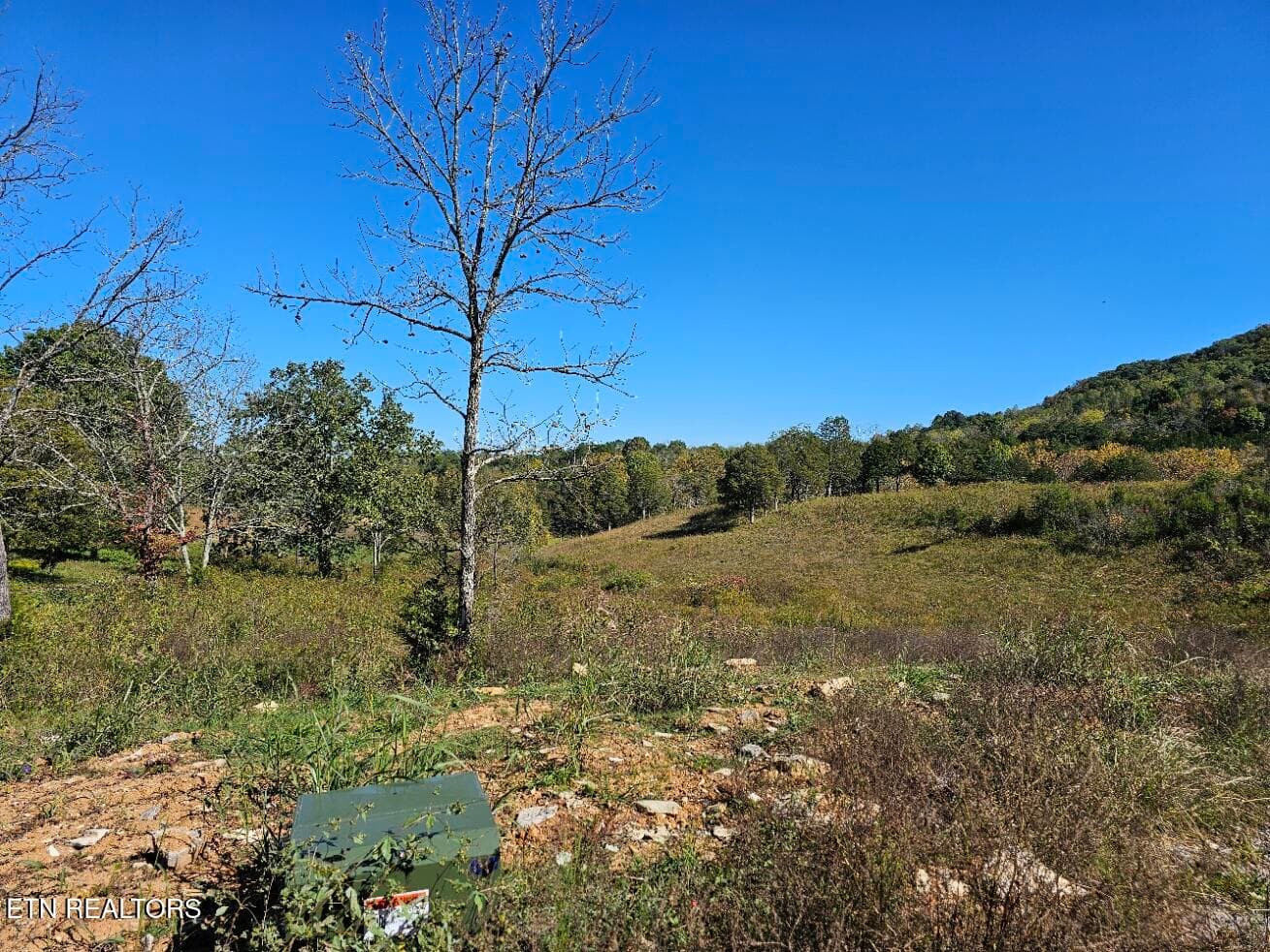 20241017_143144 - Shoreline Vista, Sharps Chapel, TN 37866, Sharps Chapel