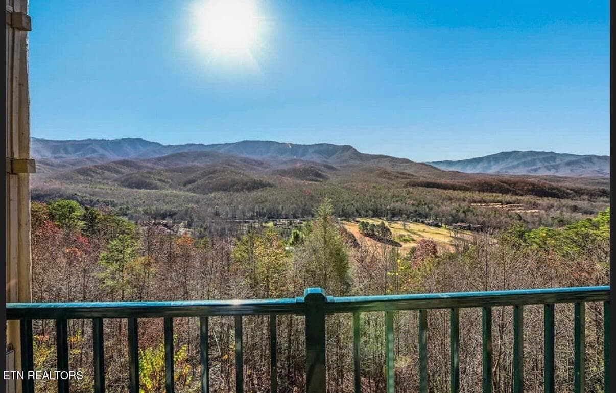 IMG_4474 - 3710 Weber Rd 105-C, Gatlinburg, TN 37738, Gatlinburg