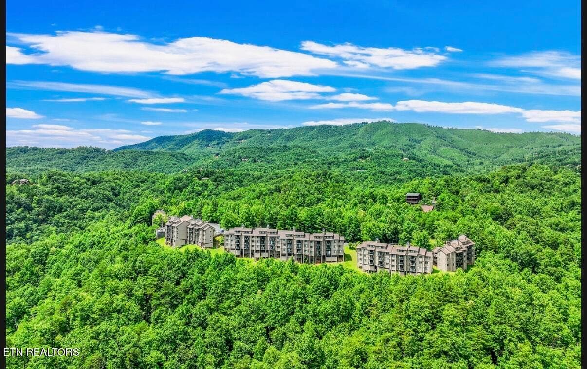 IMG_4479 - 3710 Weber Rd 105-C, Gatlinburg, TN 37738, Gatlinburg
