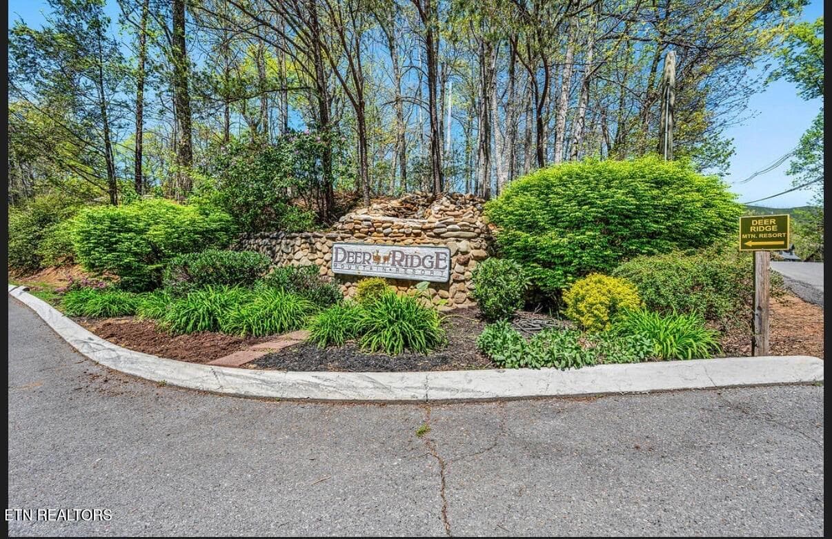 IMG_4481 - 3710 Weber Rd 105-C, Gatlinburg, TN 37738, Gatlinburg