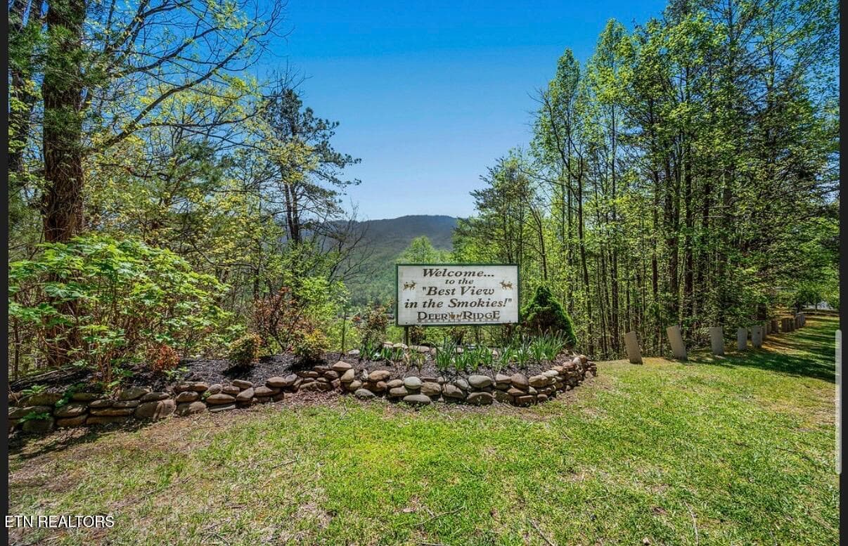 IMG_4482 - 3710 Weber Rd 105-C, Gatlinburg, TN 37738, Gatlinburg