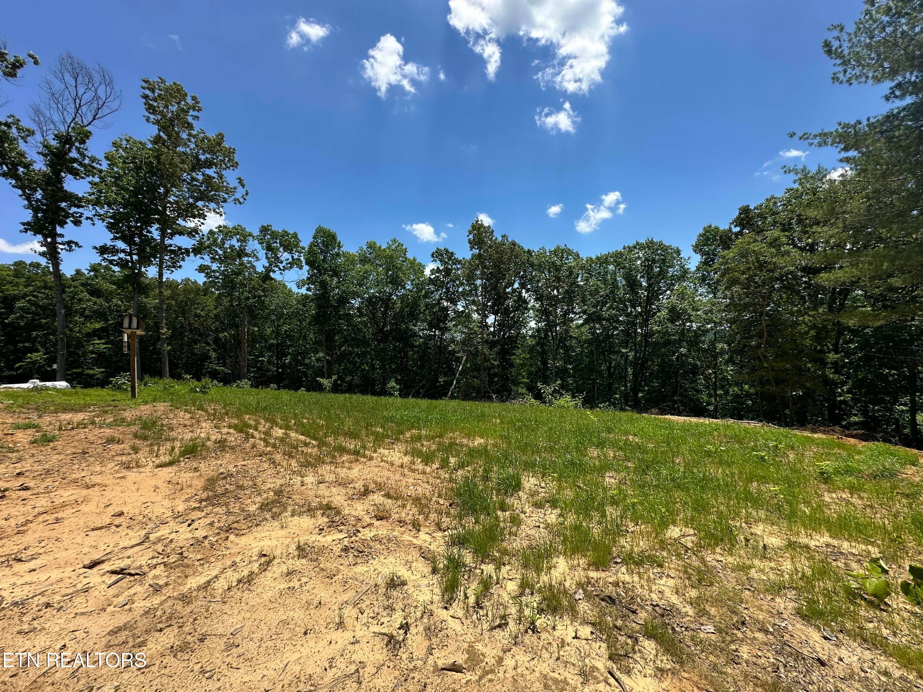 IMG_2107 - 1561 Coon Hollow Rd, Sunbright, TN 37872, Sunbright