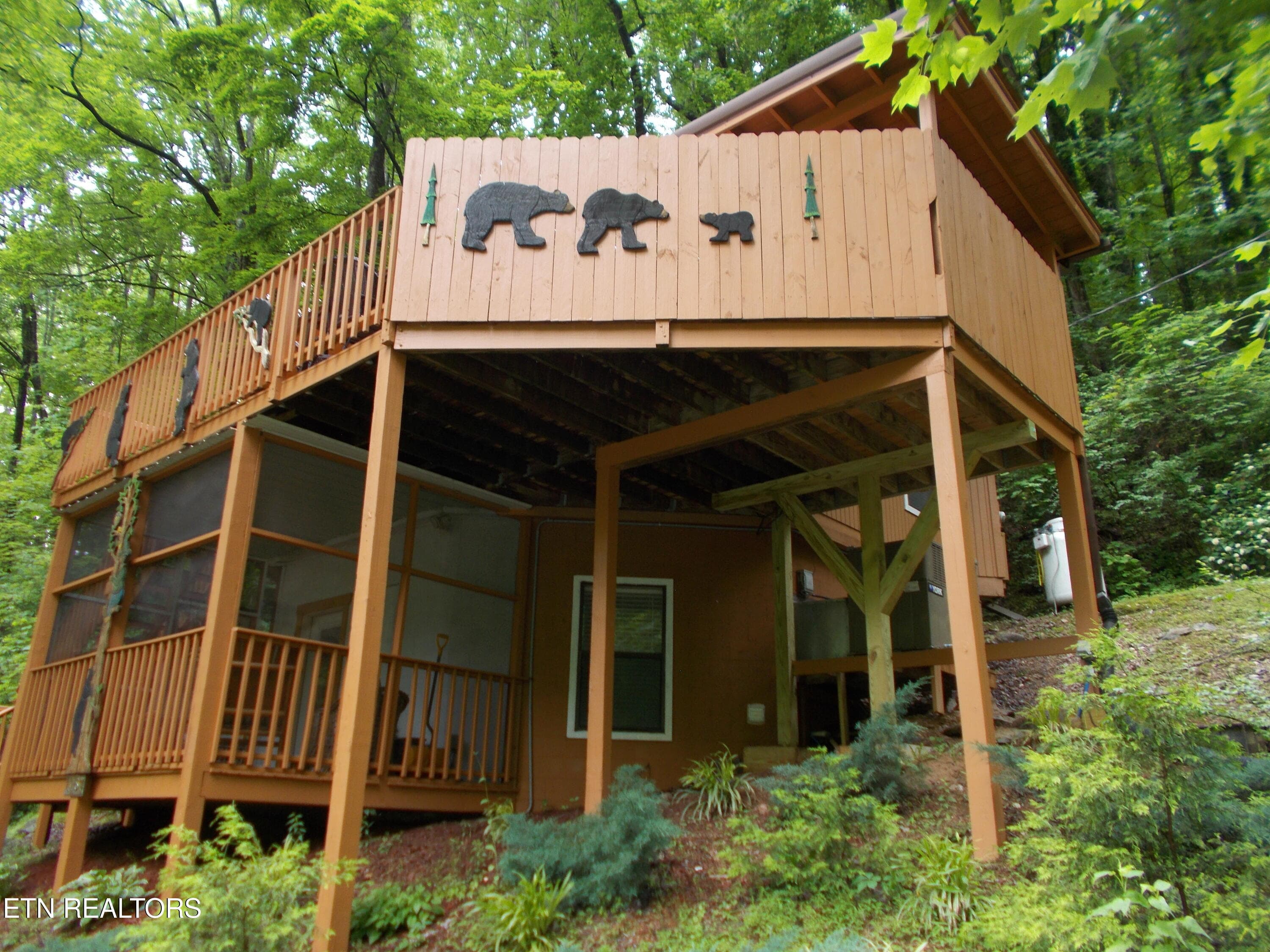 DSCN2040 - 1157 Villa Lane Lane, Gatlinburg, TN 37738, Gatlinburg