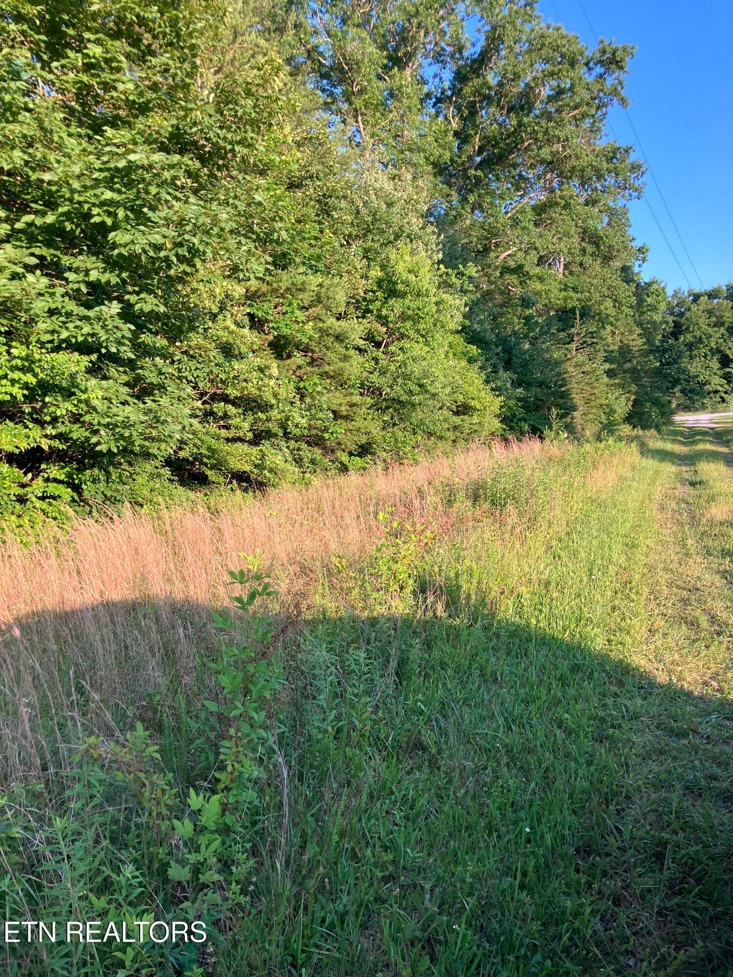 Lot 10 Holly Dr-8 - Lot 10 Holly Drive, Pikeville, TN 37367