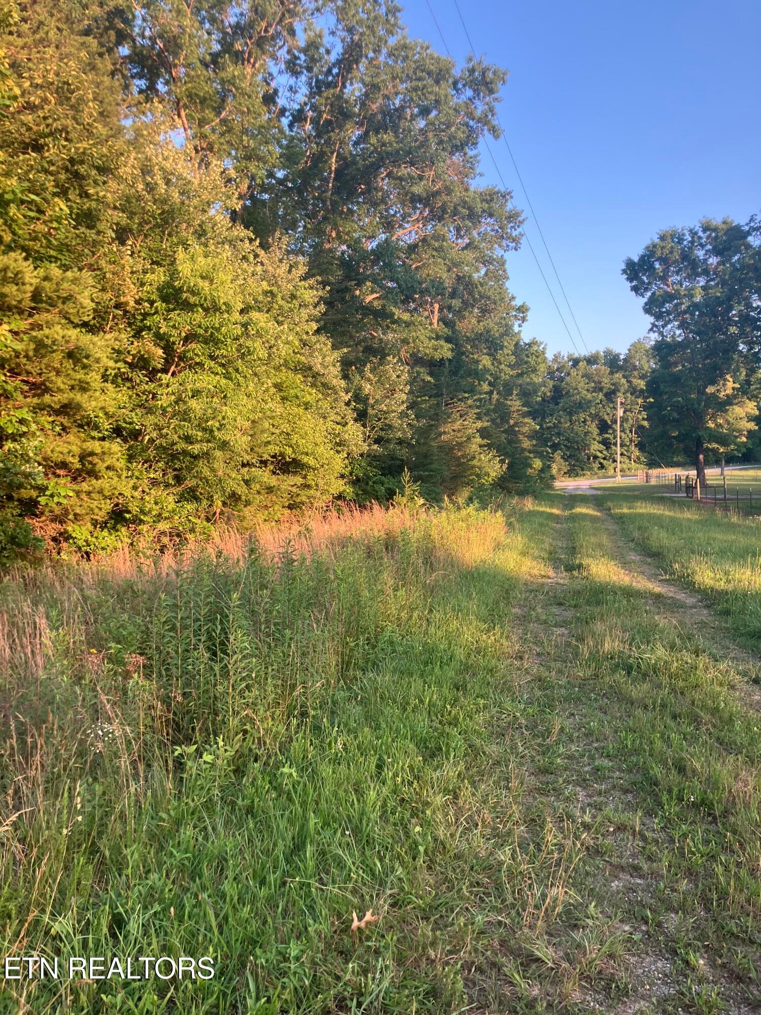 Lot 10 Holly Drive, Pikeville, TN 37367