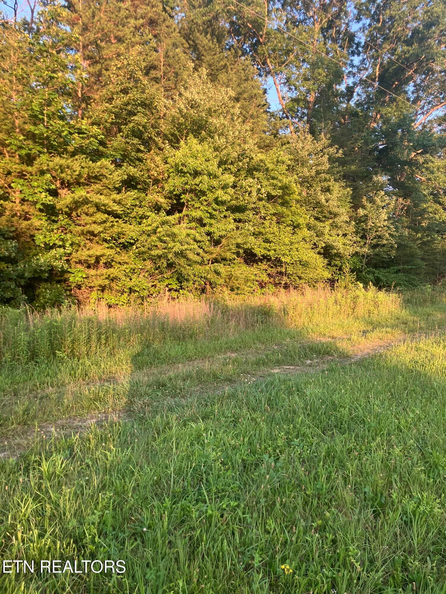 Lot 10 Holly Dr-5 - Lot 10 Holly Drive, Pikeville, TN 37367