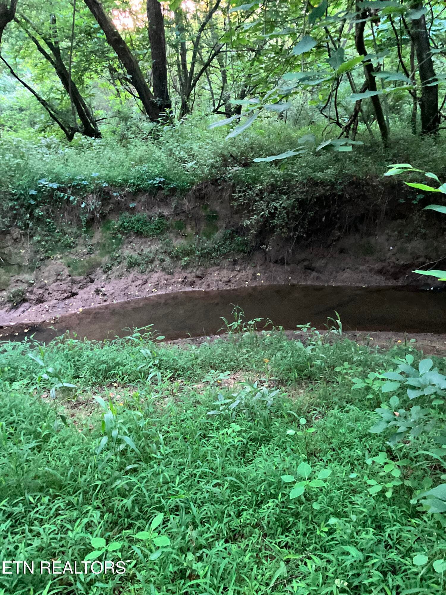 Lot 10 Holly Dr-6 - Lot 10 Holly Drive, Pikeville, TN 37367