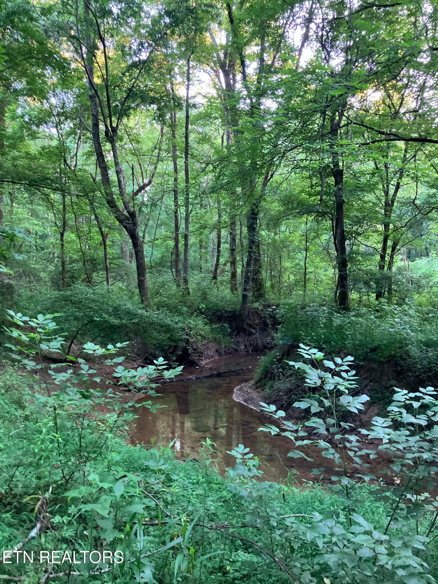 Lot 10 Holly Dr-7 - Lot 10 Holly Drive, Pikeville, TN 37367