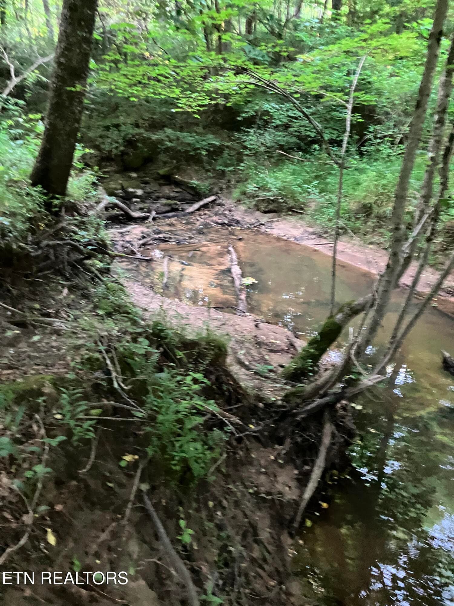 Lot 10 Holly Dr-1 - Lot 10 Holly Drive, Pikeville, TN 37367