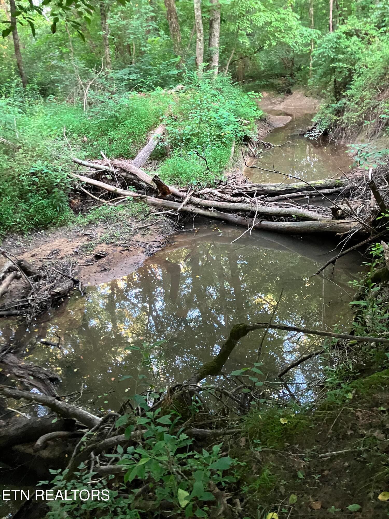 Lot 10 Holly Dr-2 - Lot 10 Holly Drive, Pikeville, TN 37367