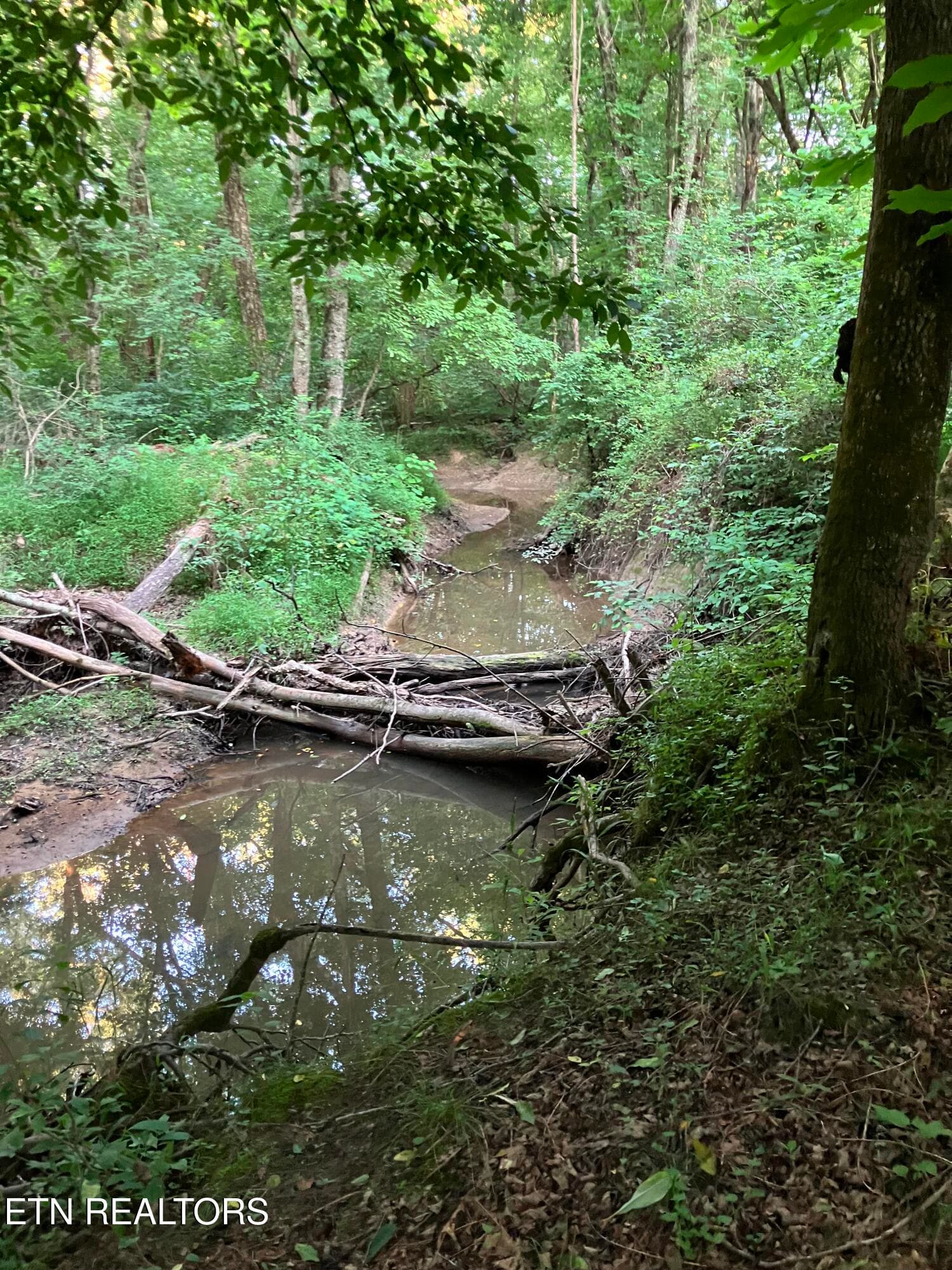 Lot 10 Holly Dr-3 - Lot 10 Holly Drive, Pikeville, TN 37367