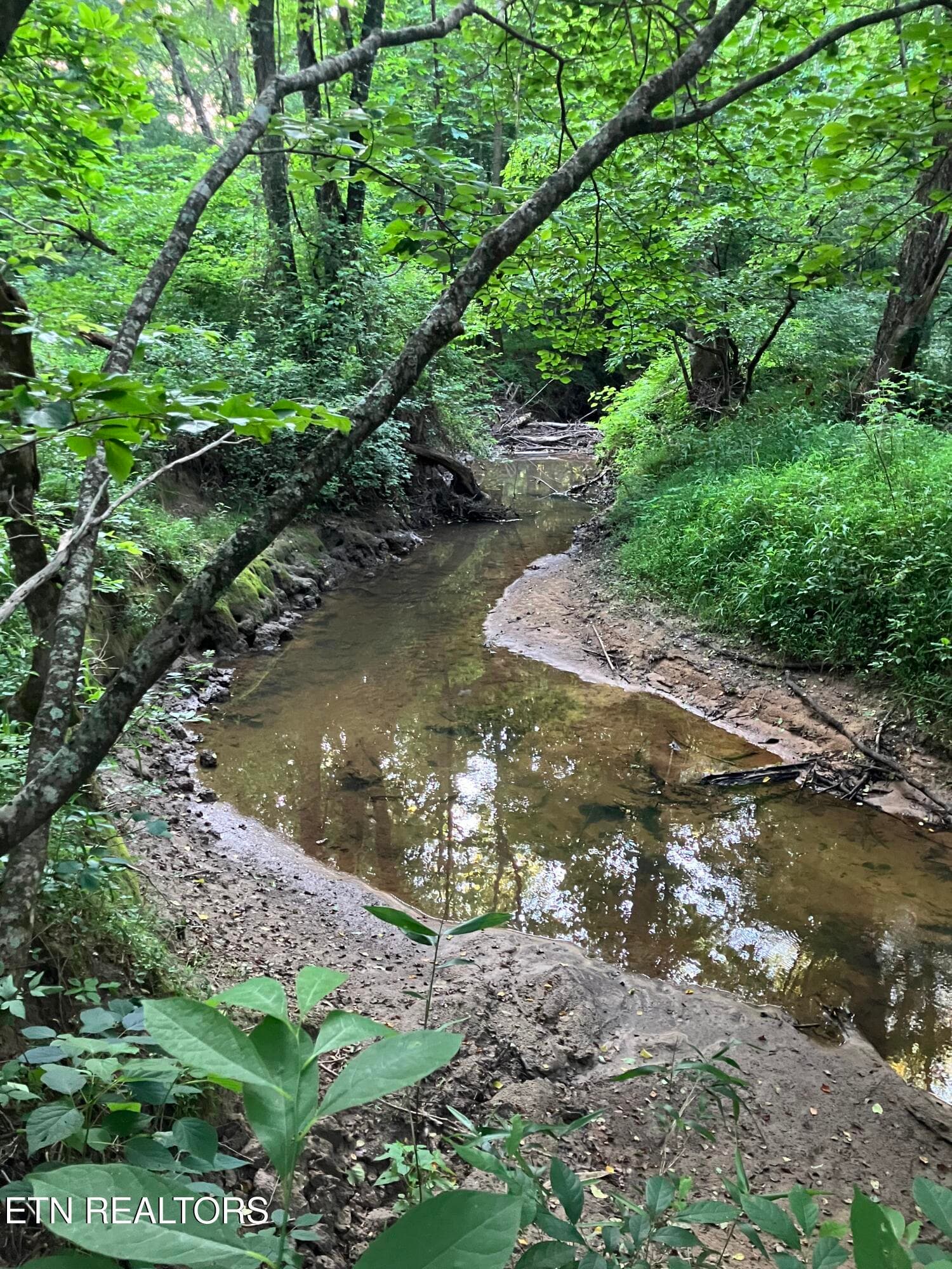 Lot 10 Holly Dr-9 - Lot 10 Holly Drive, Pikeville, TN 37367