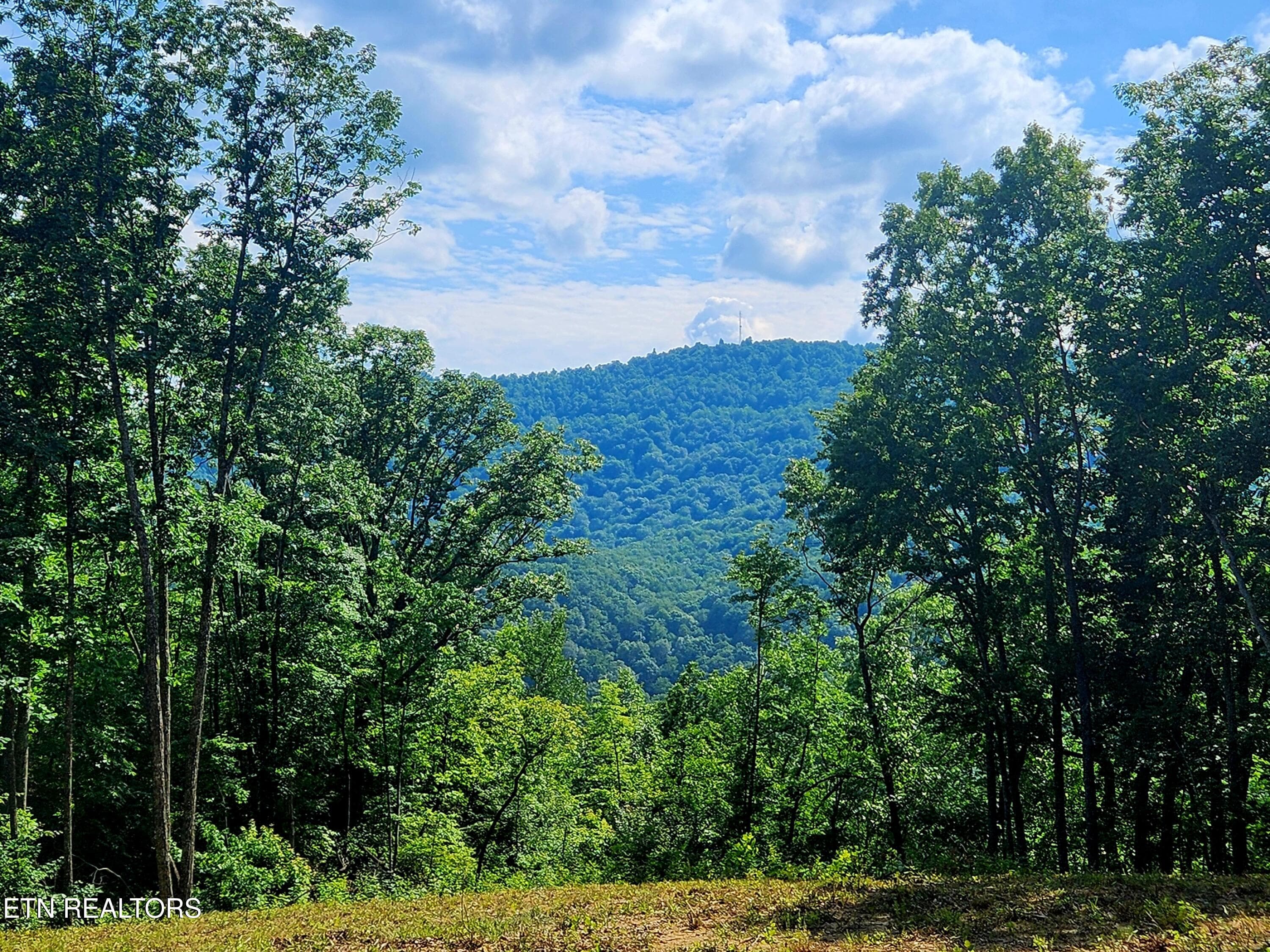 2 - 183 Persimmon Lane, Pioneer, TN 37847, Pioneer