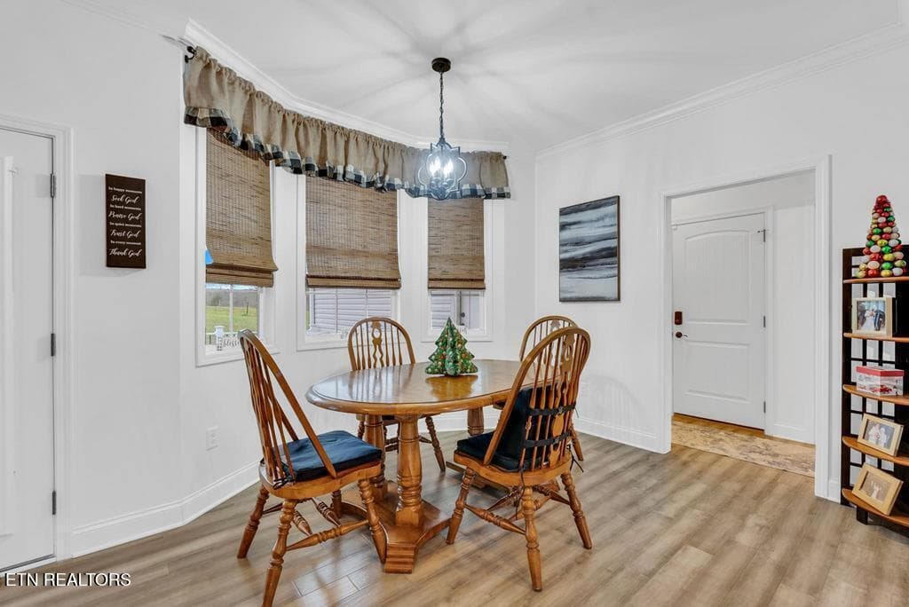 1000081336_43 - 18 Faith Rae Blvd, Morrison, TN 37357