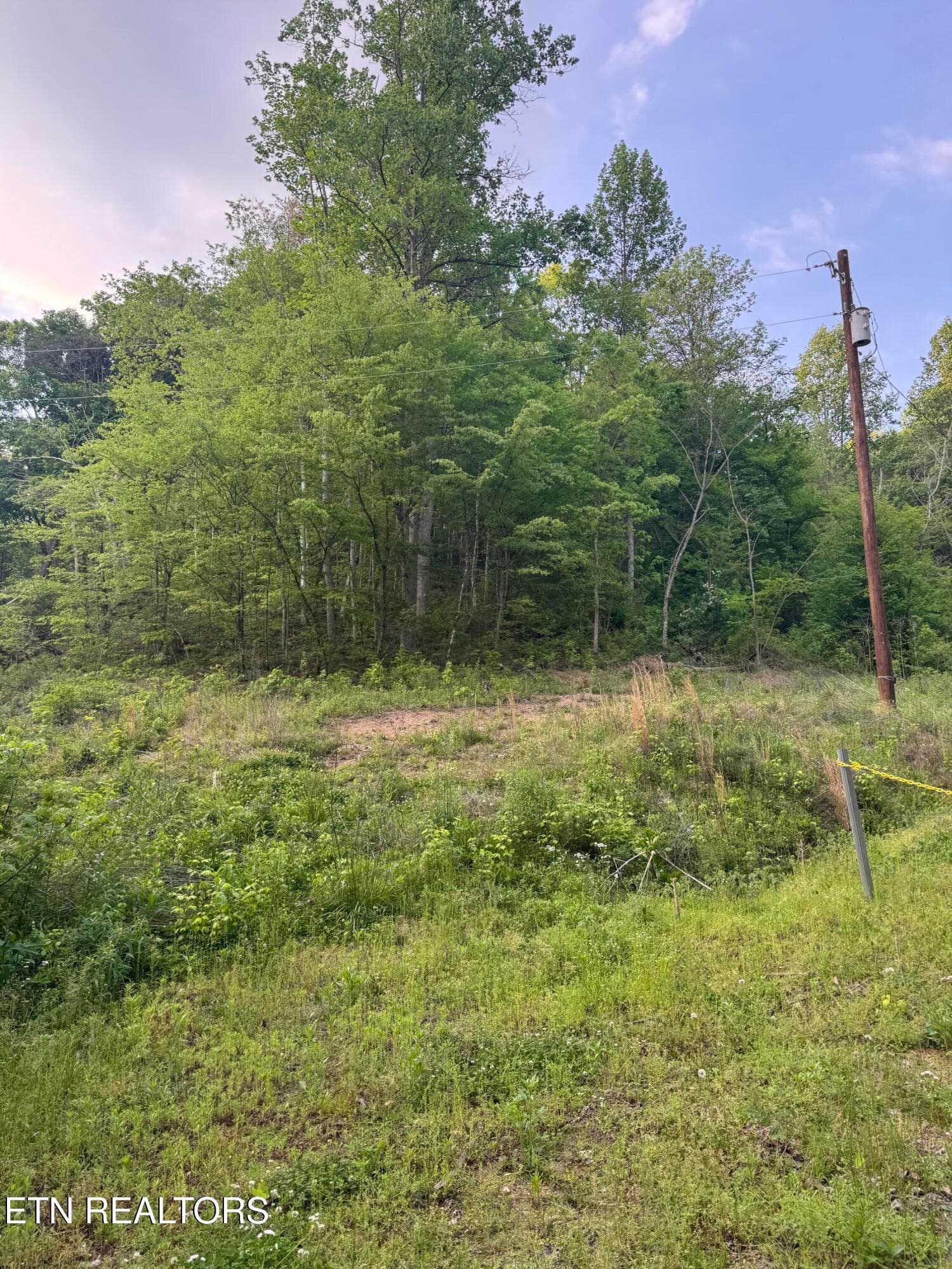 IMG_8441 - 332 Padgett Mill Rd, Cosby, TN 37722