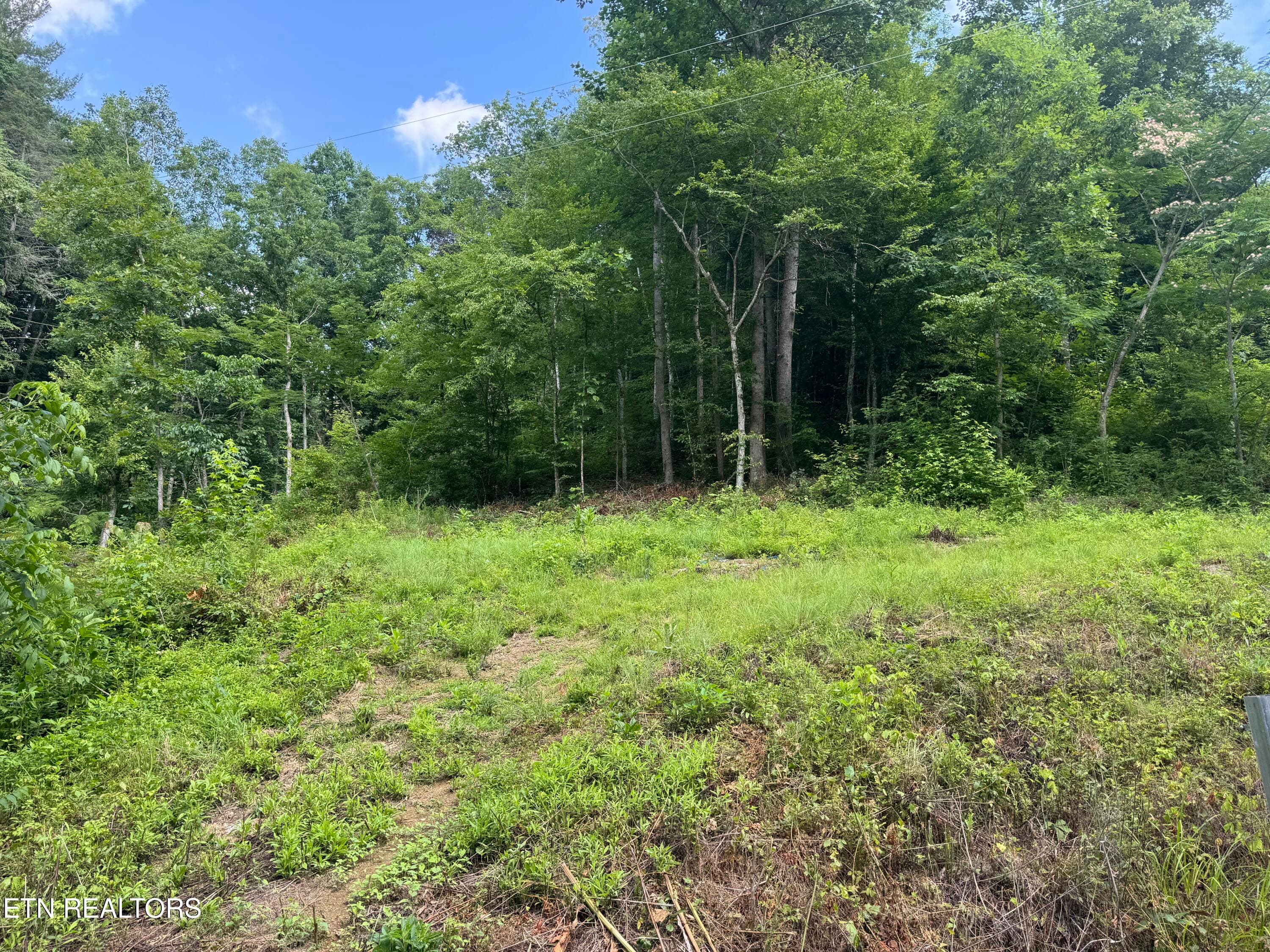 IMG_0395 - 332 Padgett Mill Rd, Cosby, TN 37722
