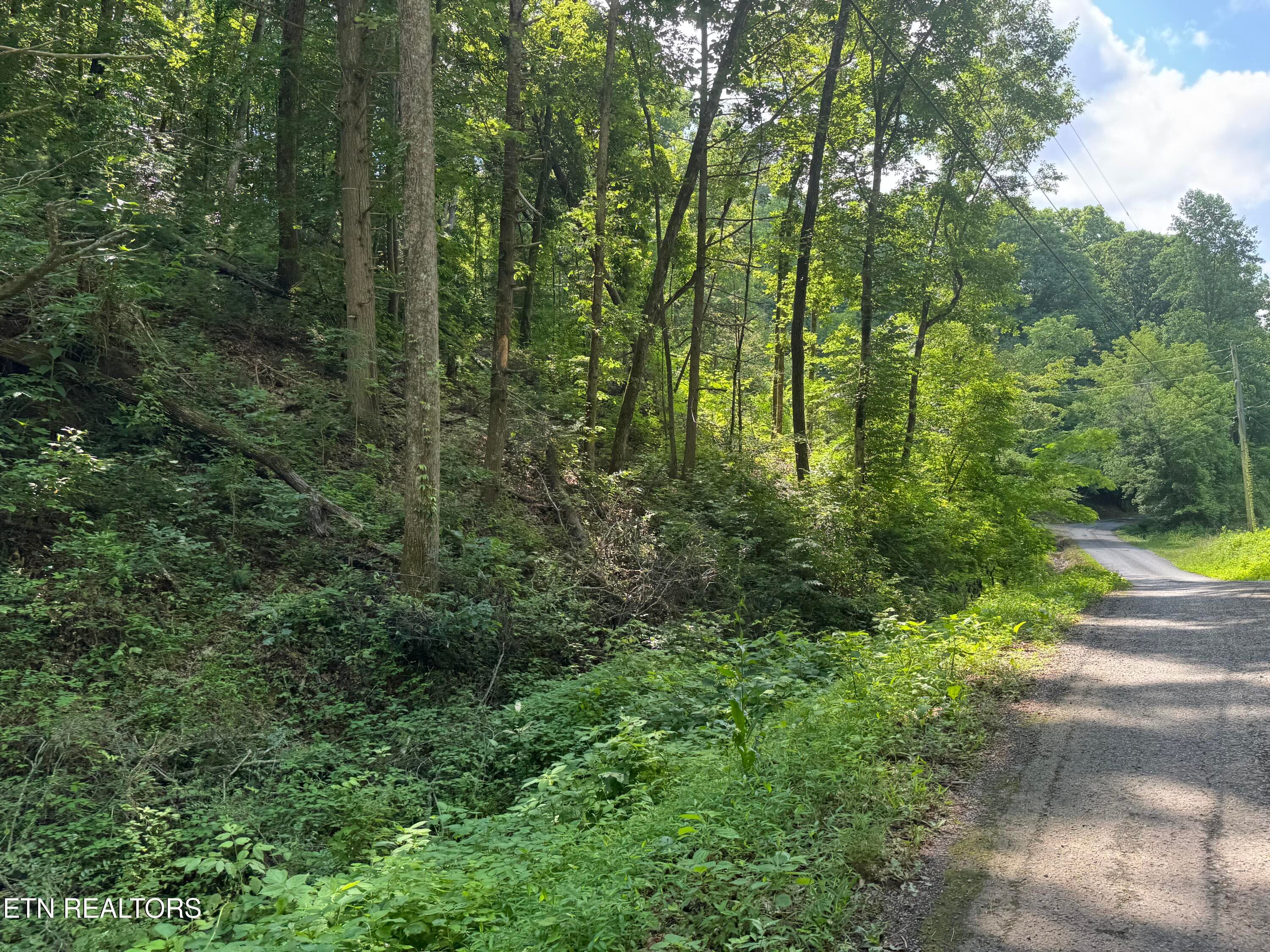 IMG_0401 - 332 Padgett Mill Rd, Cosby, TN 37722