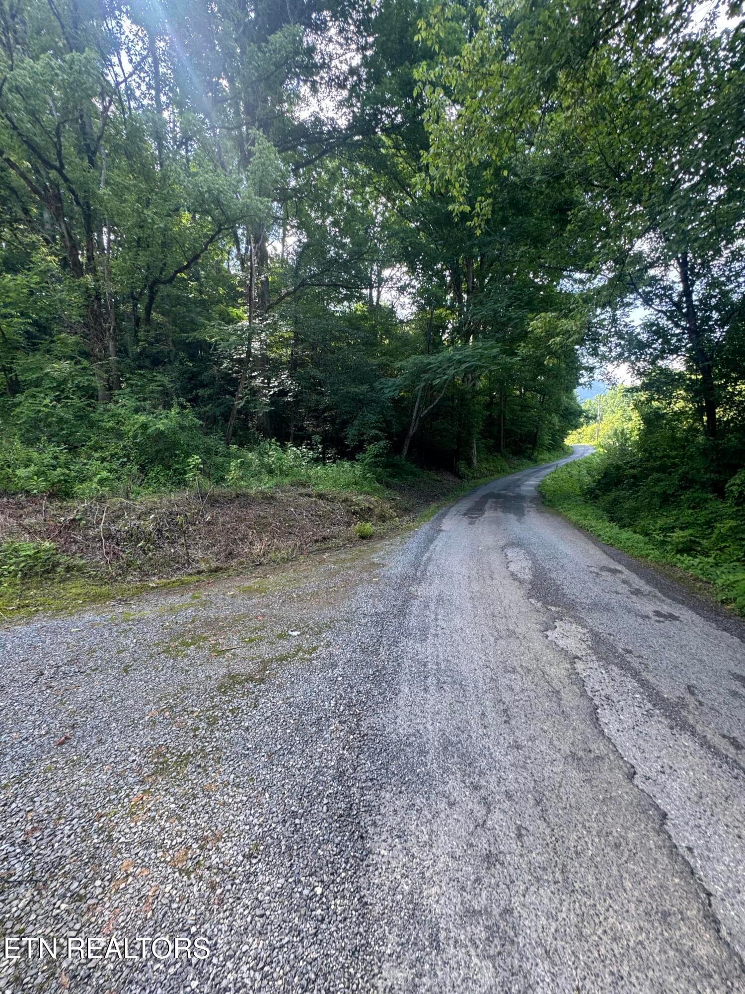 IMG_0397 - 332 Padgett Mill Rd, Cosby, TN 37722