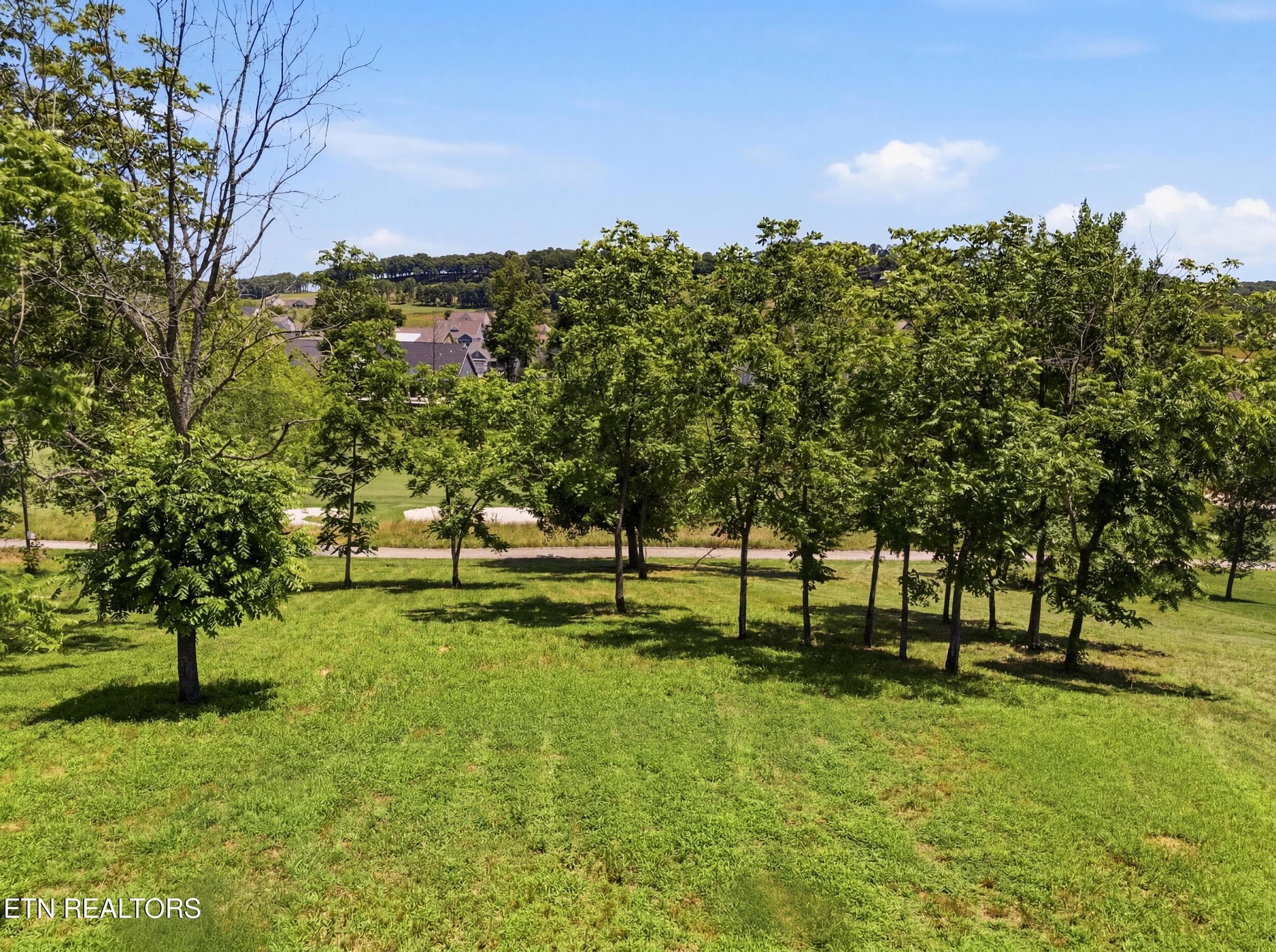 903_mockingbird_ln_004 - 903 Mockingbird Lane, Loudon, TN 37774