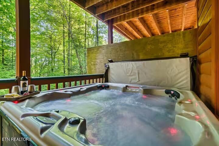 IMG_5399 - 3828 Saddle Brook Way, Sevierville, TN 37862