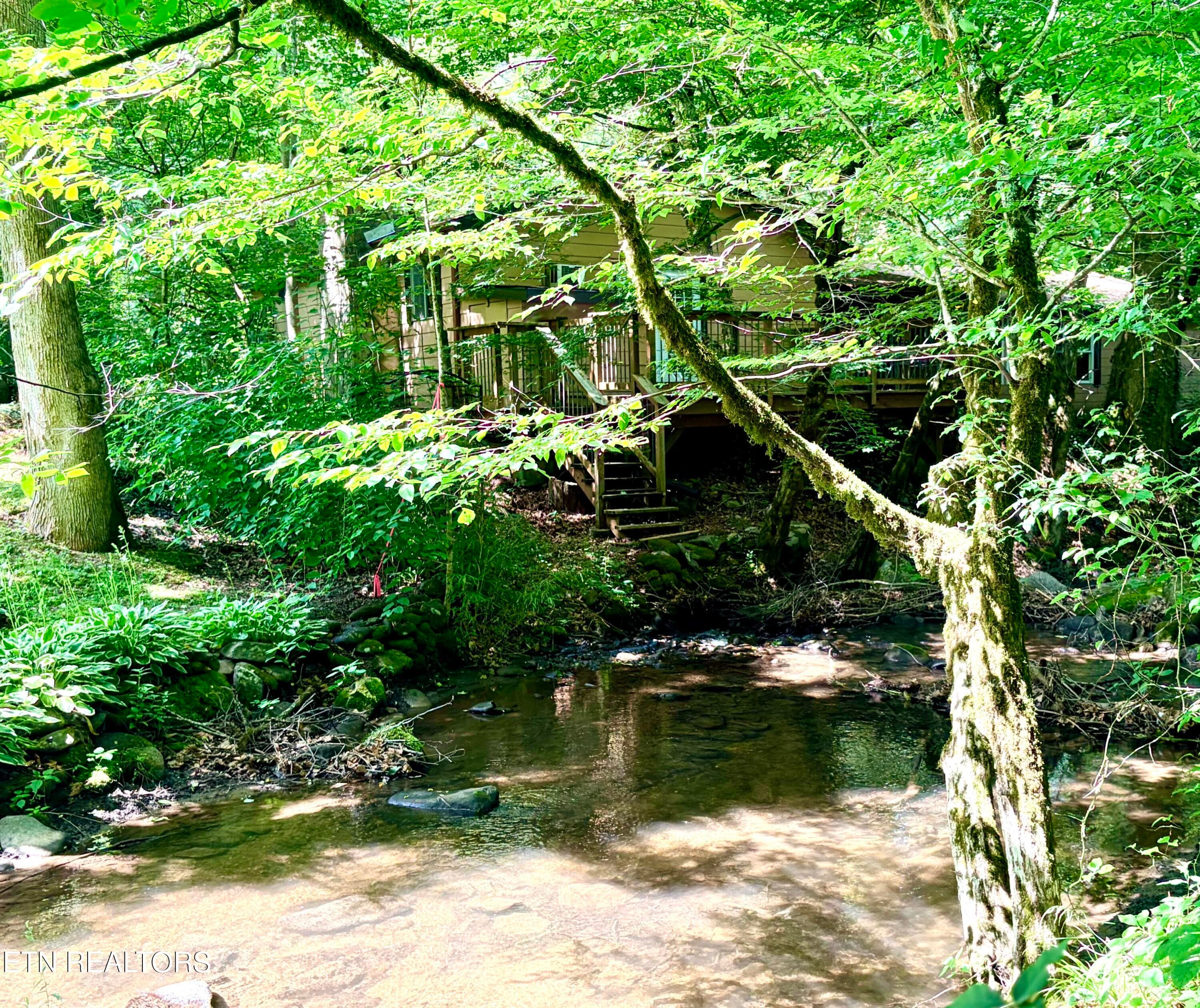 IMG_9656 - 4413 E Scenic Drive, Gatlinburg, TN 37738, Gatlinburg