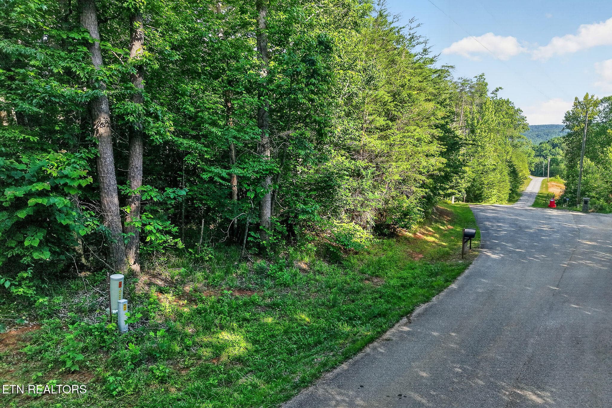 PAVED STREET - Simmons Cemetery Rd, Quebeck, TN 38579
