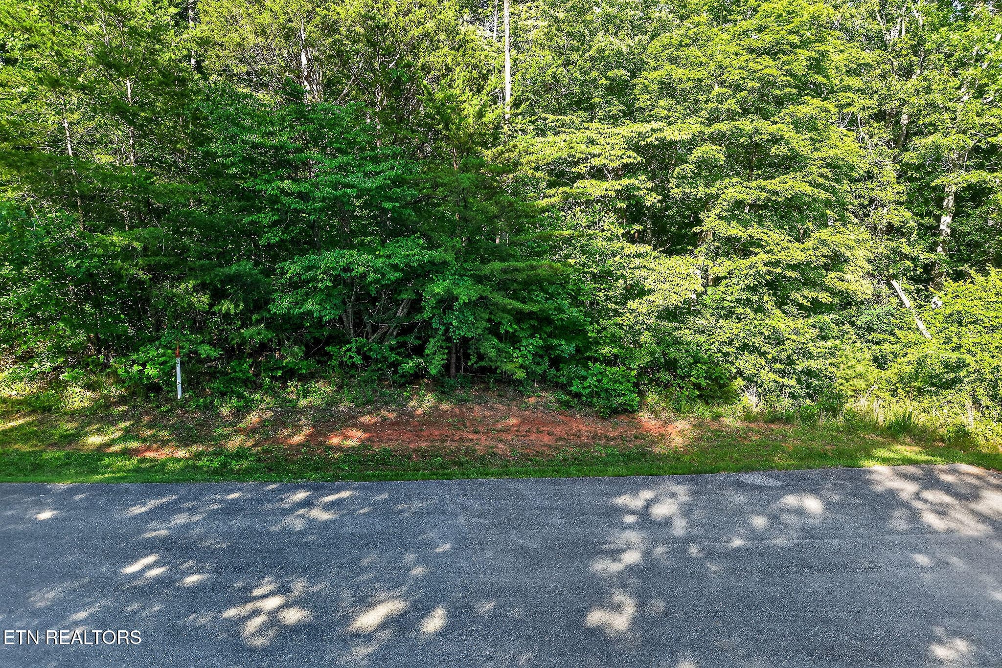 UTILITIES AT STREET - Simmons Cemetery Rd, Quebeck, TN 38579