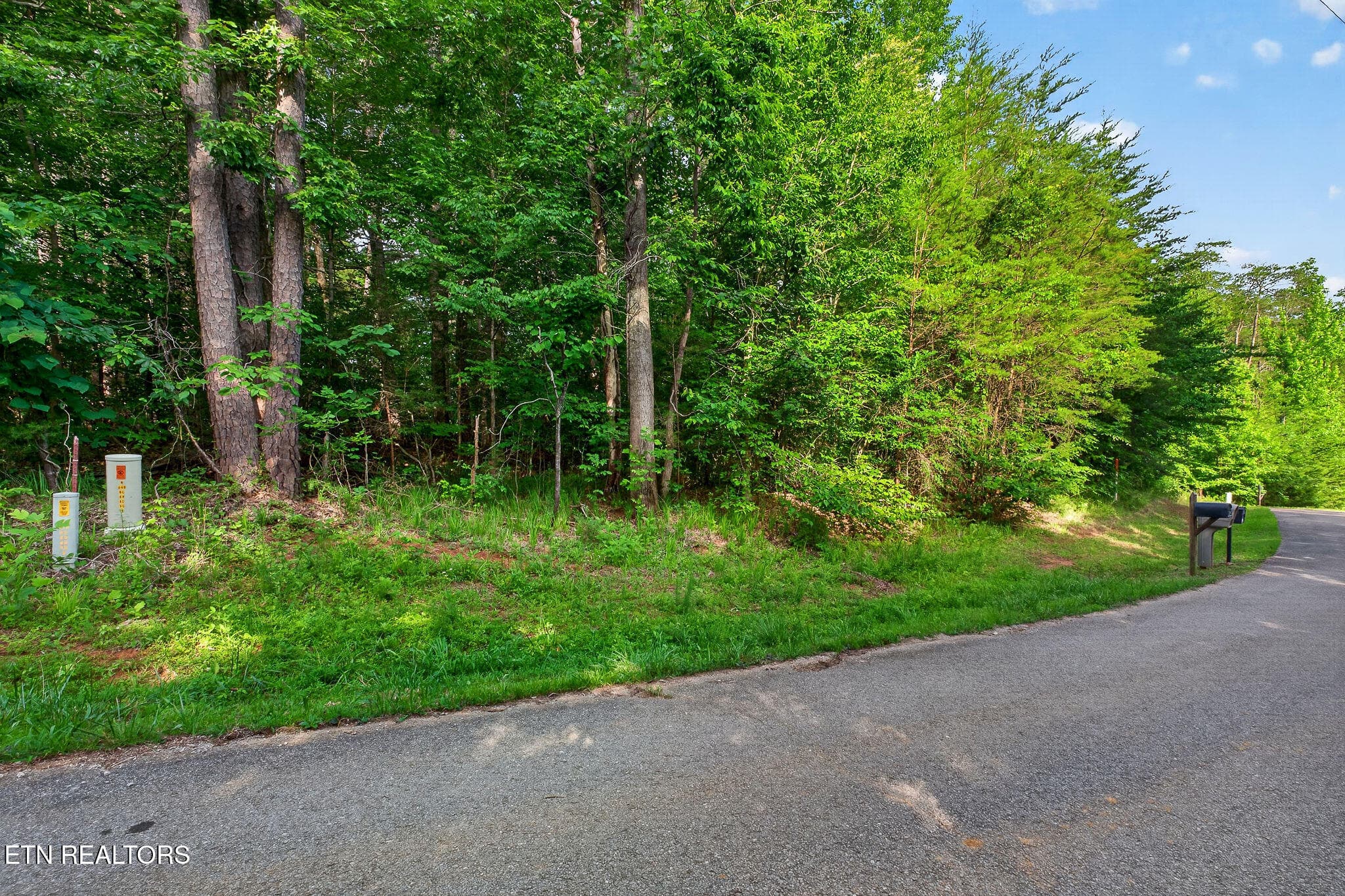 LOTS OF ROAD FRONTAGE - Simmons Cemetery Rd, Quebeck, TN 38579
