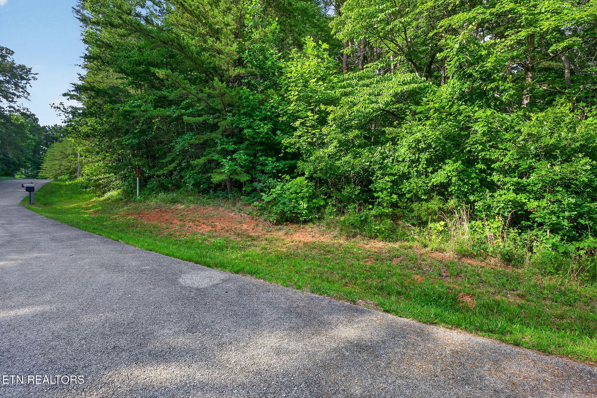 SIMMONS CEM. RD - Simmons Cemetery Rd, Quebeck, TN 38579