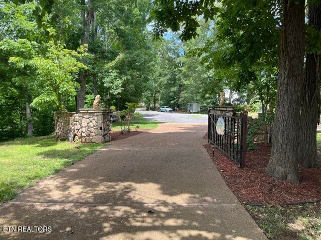 IMG_1907 - 1340 Seagull Lane, Dandridge, TN 37725