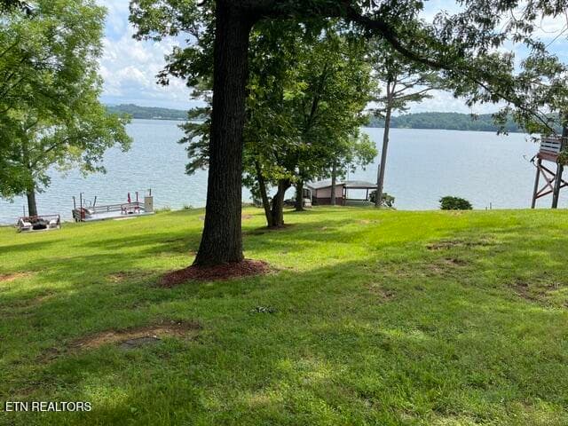 IMG_1913 - 1340 Seagull Lane, Dandridge, TN 37725