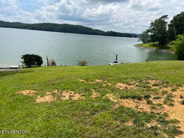 IMG_1918 - 1340 Seagull Lane, Dandridge, TN 37725