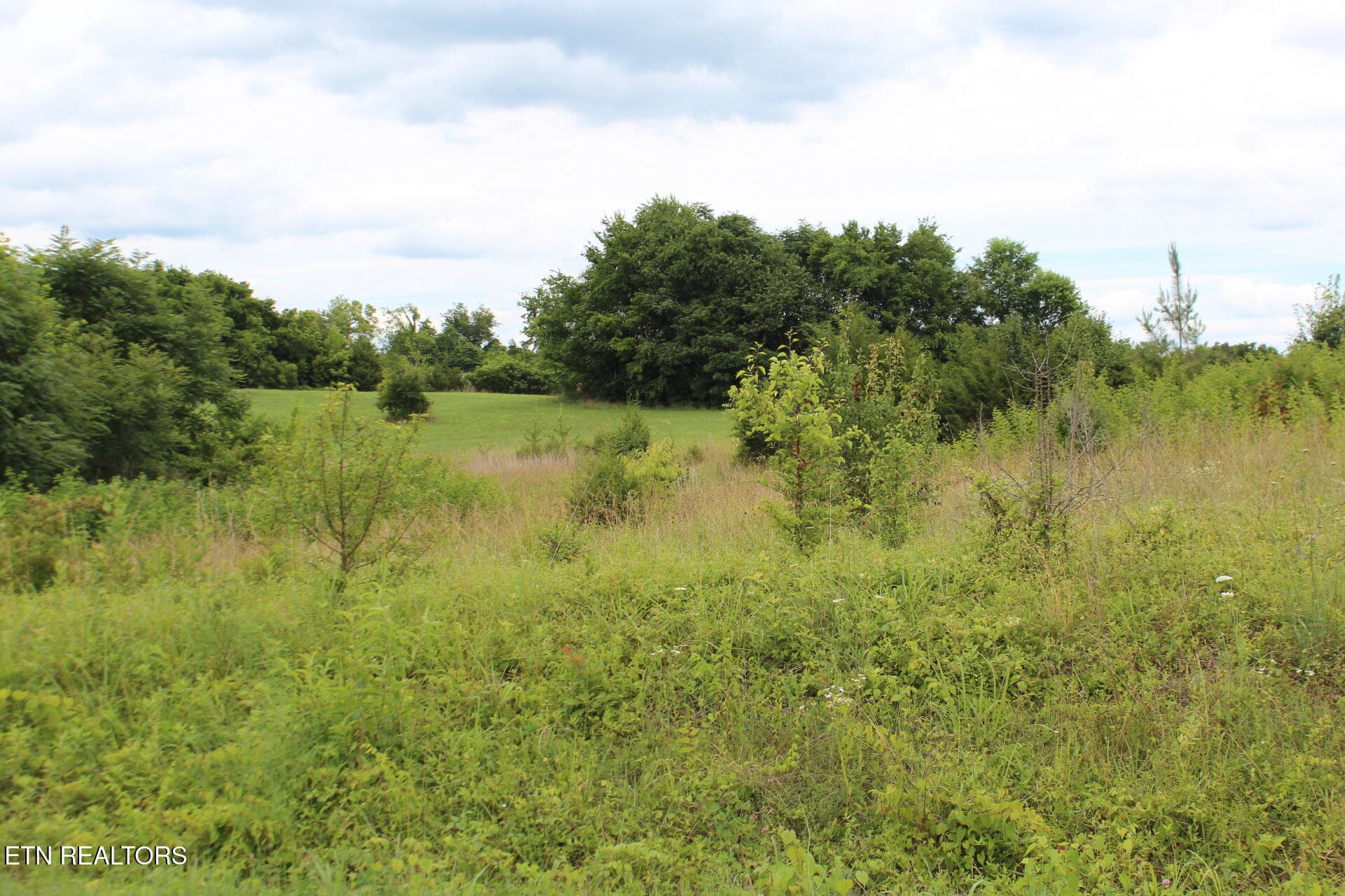 IMG_1092 - Baker Springs Rd, White Pine, TN 37890