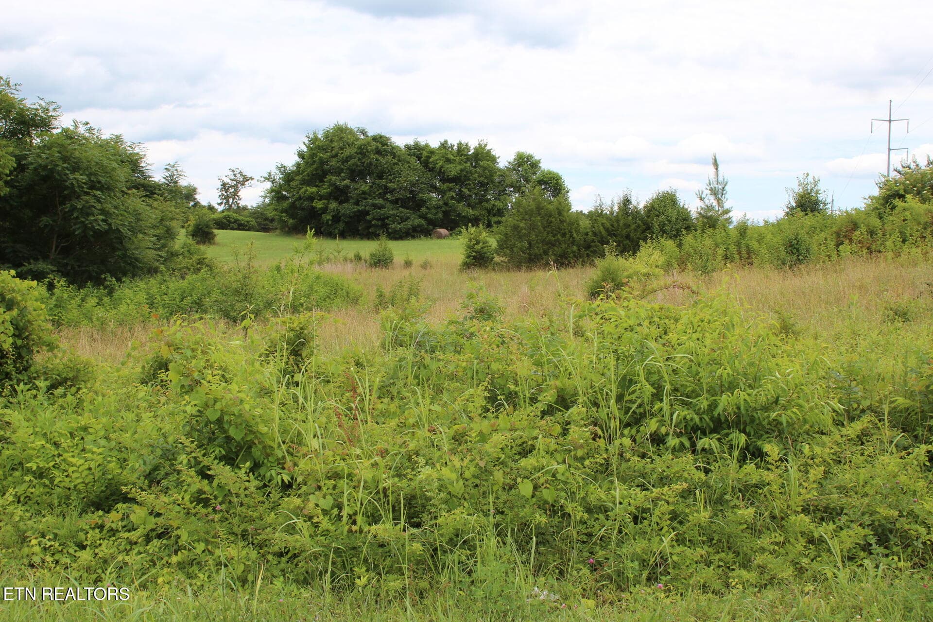 IMG_1097 - Baker Springs Rd, White Pine, TN 37890