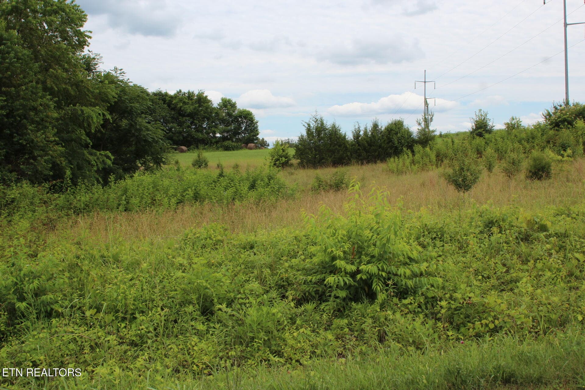 IMG_1098 - Baker Springs Rd, White Pine, TN 37890