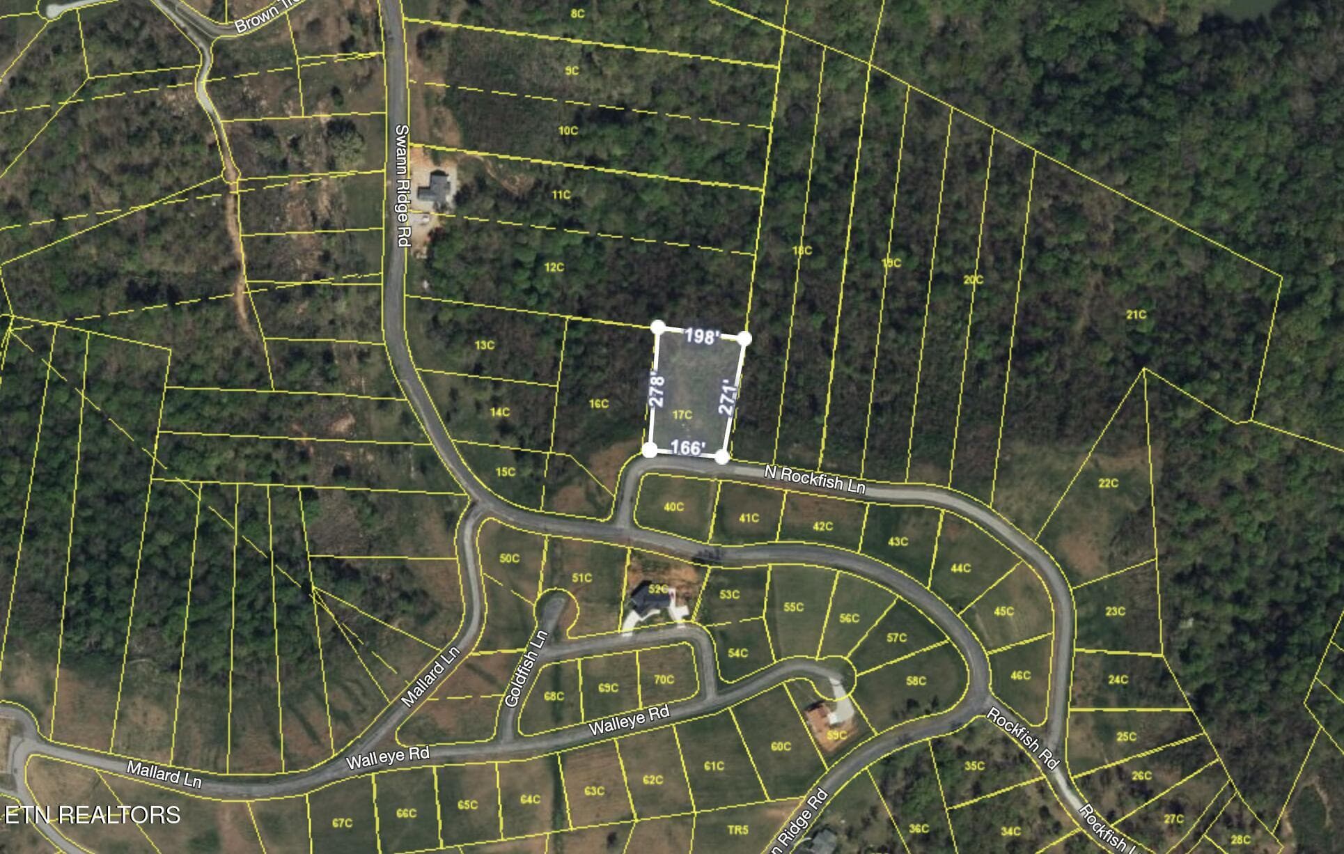 Screenshot 2024-10-17 at 3.56.31PM - 17C Rockfish Rd, Hilham, TN 38568