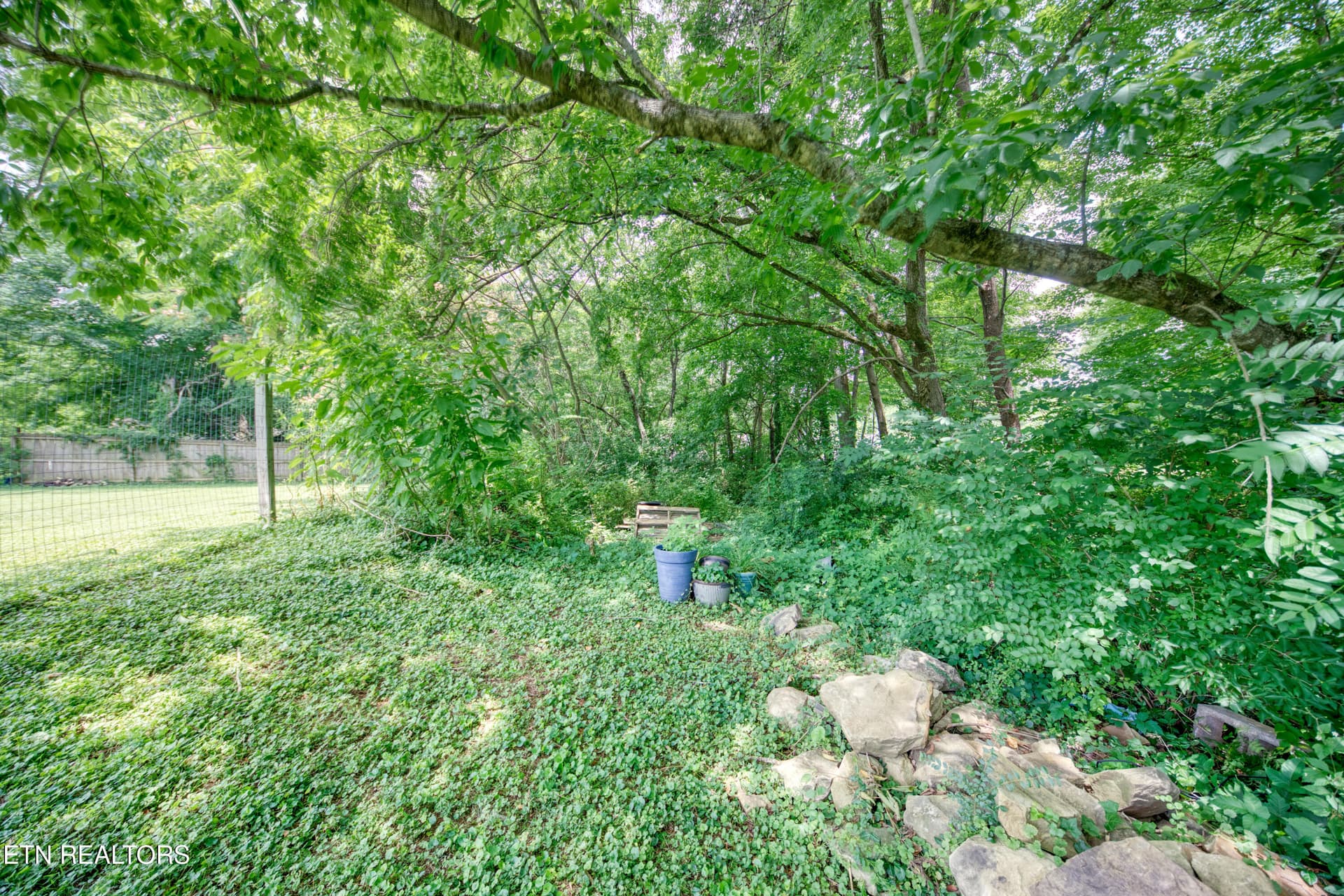 0H3A9649_91 - 425 W Ford Valley Rd, Knoxville, TN 37920
