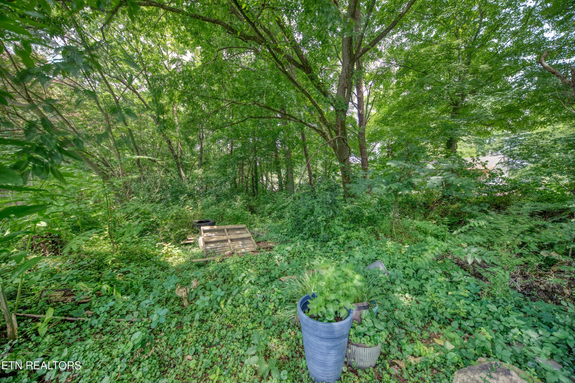 0H3A9653_92 - 425 W Ford Valley Rd, Knoxville, TN 37920