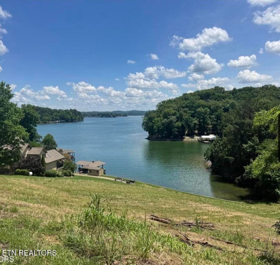 IMG_8785 - Parks Ferry Rd Lot 1, Friendsville, TN 37737