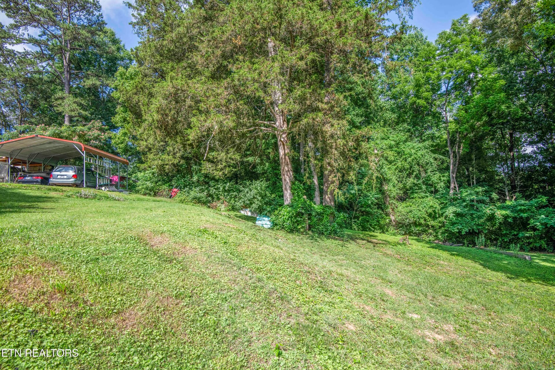 yard 6_1 - 201 W Ford Valley Rd, Knoxville, TN 37920
