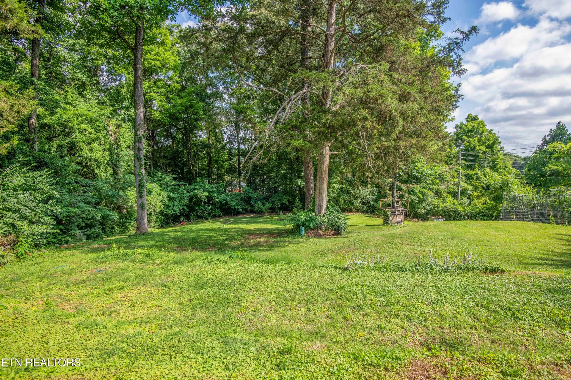 yard 9_1 - 201 W Ford Valley Rd, Knoxville, TN 37920