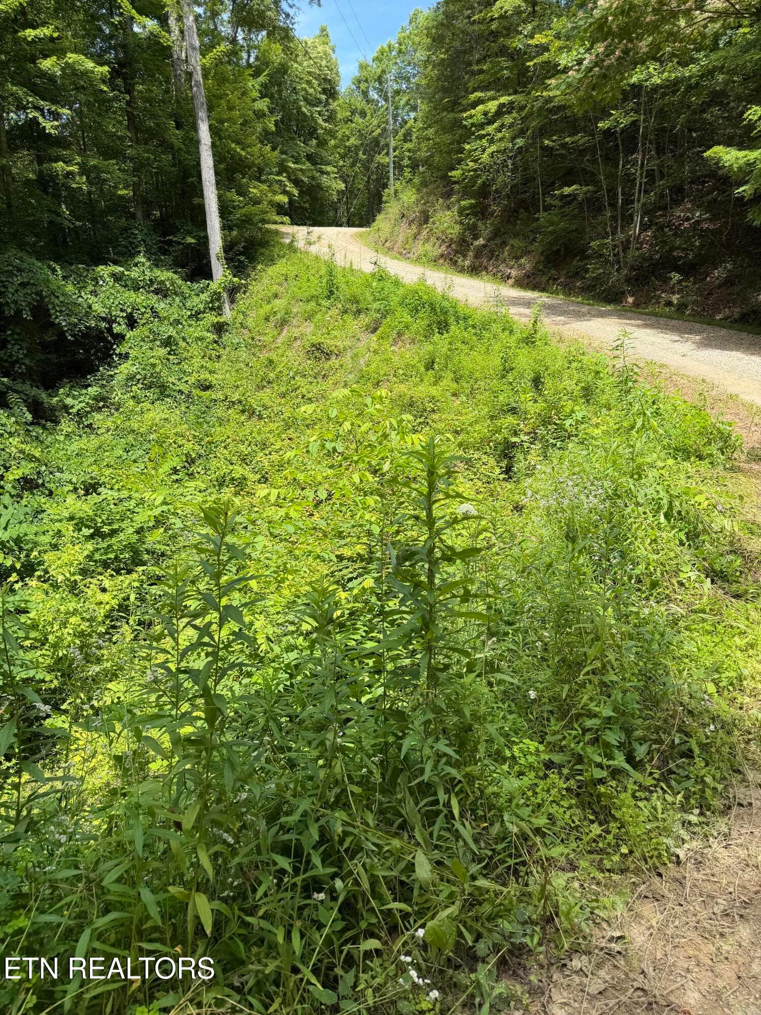 IMG_1585 - Lot 56 Butternut Lane, Sevierville, TN 37876