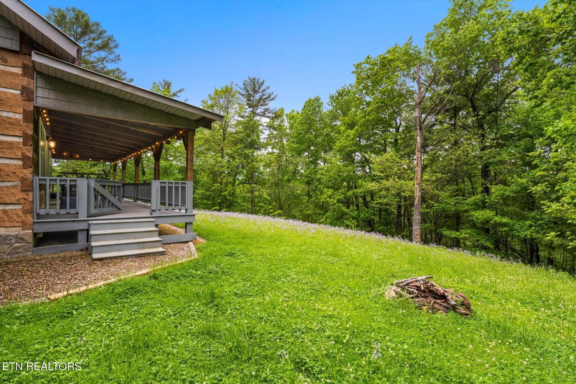 31-4620-Teague-Branch-Rd-Hartford-TN-31 - 4620 Teague Branch Rd, Hartford, TN 37753