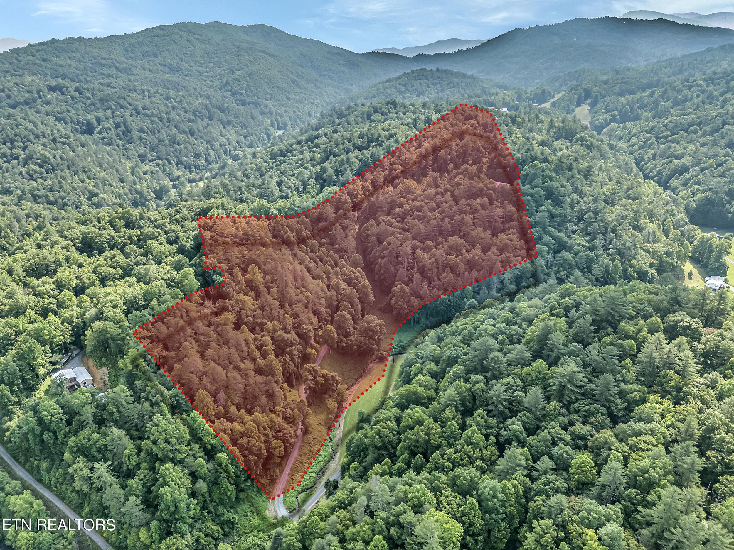 19_property line 1 - 4620 Teague Branch Rd, Hartford, TN 37753