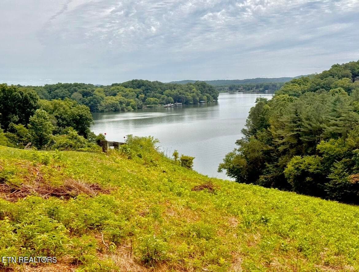 IMG_8796 - Parks Ferry Rd Lot 1, Friendsville, TN 37737