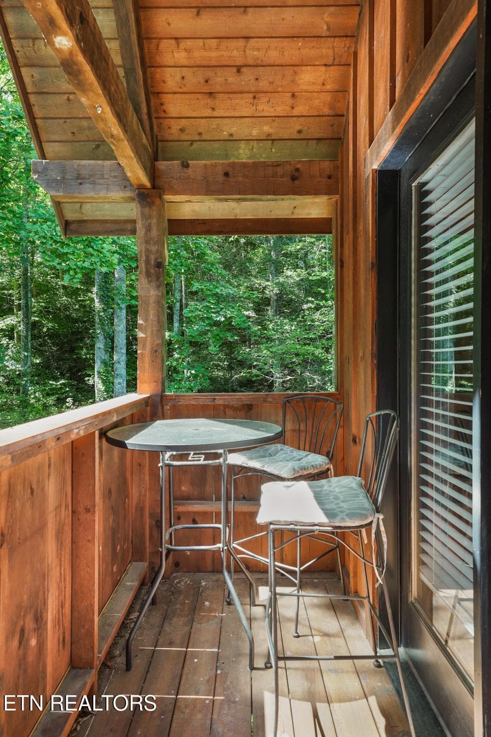IMG_4155 - 3520 Noel Hill Way, Sevierville, TN 37876