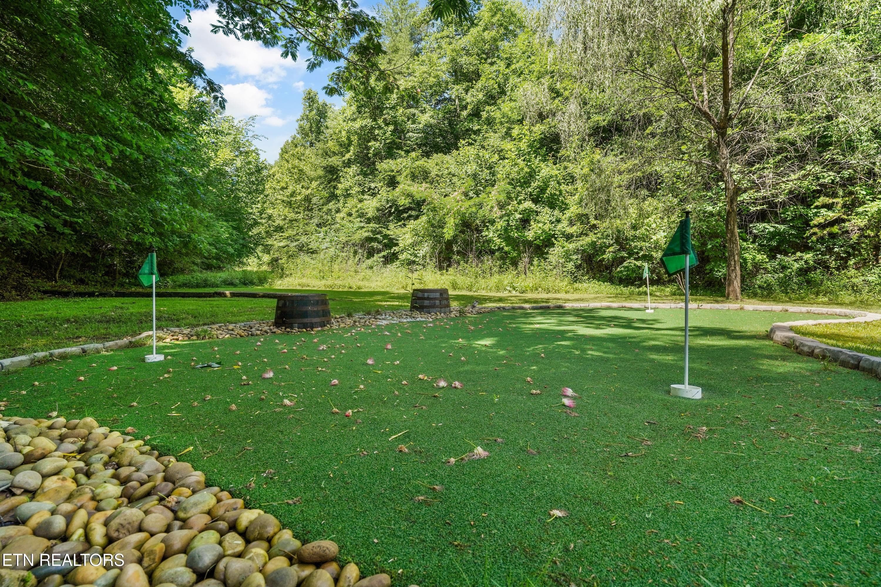 IMG_4167 - 3520 Noel Hill Way, Sevierville, TN 37876