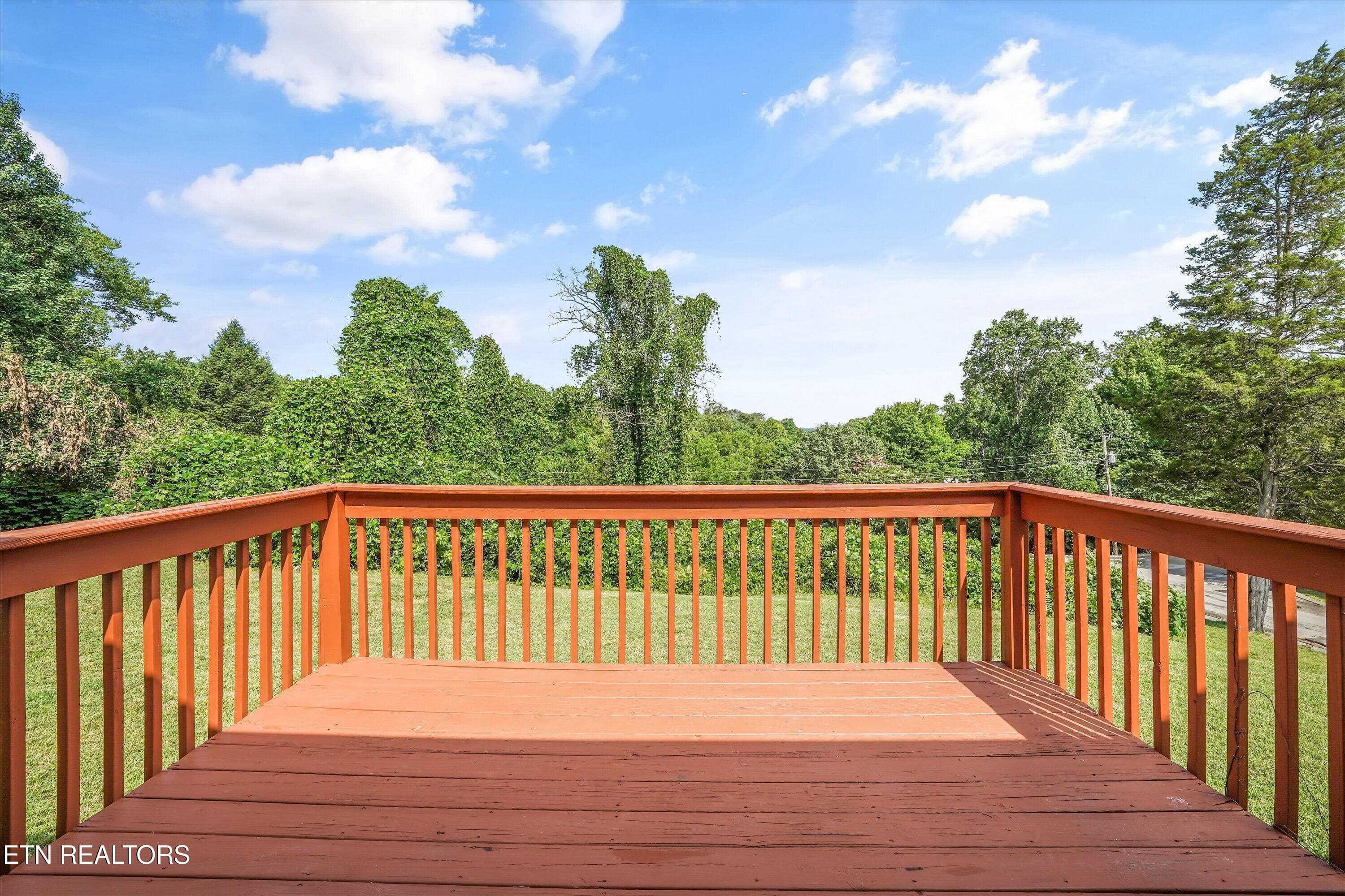 26-703 Shane Dr20 - 703 Shane Drive, Maryville, TN 37804
