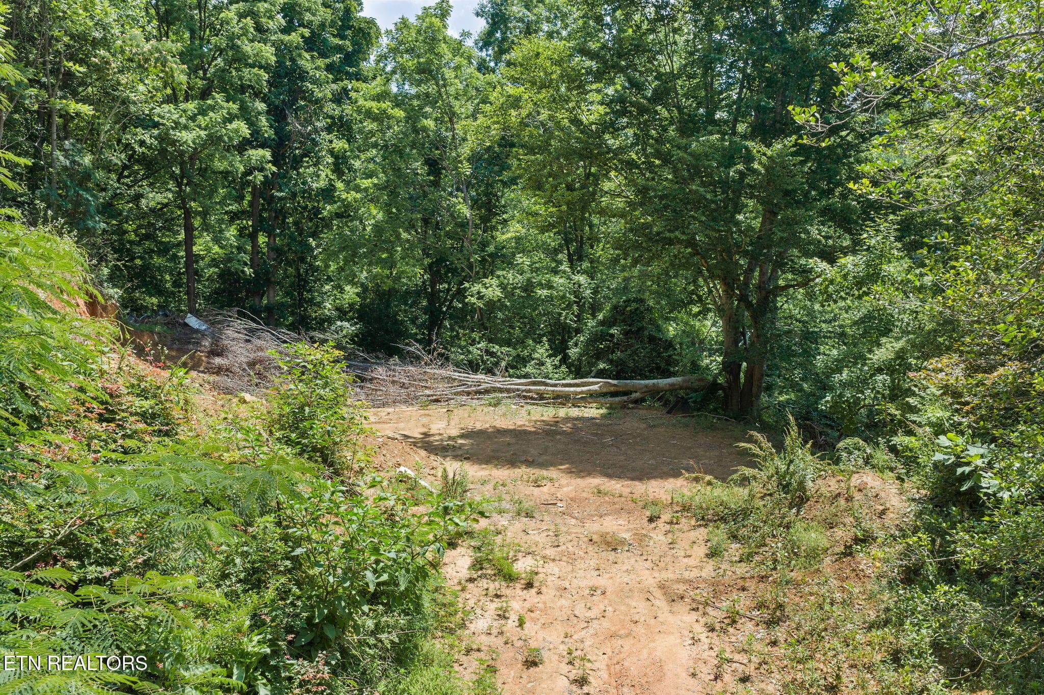 13-web-or-mls-Ogle-63 - 520 Verless Ogle Rd, Sevierville, TN 37876