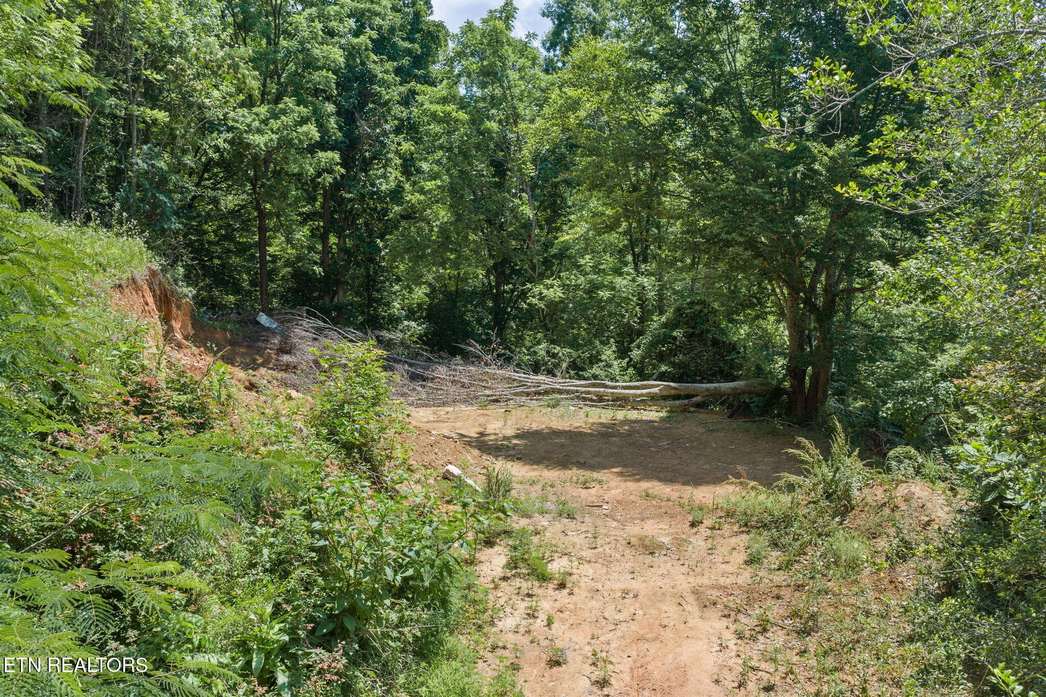 14-web-or-mls-Ogle-68 - 520 Verless Ogle Rd, Sevierville, TN 37876